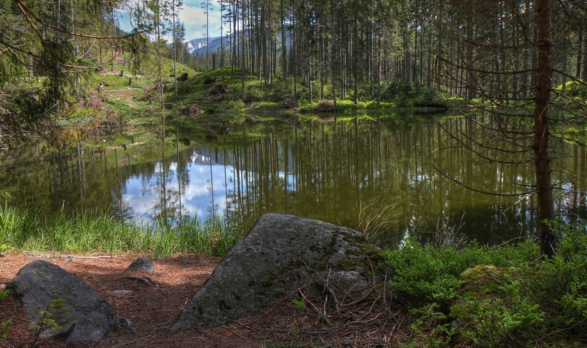 Pleso pod Zverovkou  