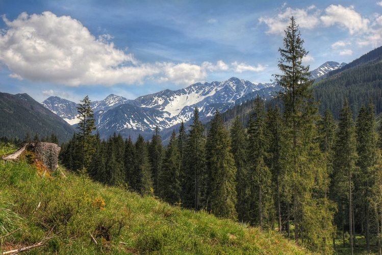 Oravské veľhory  