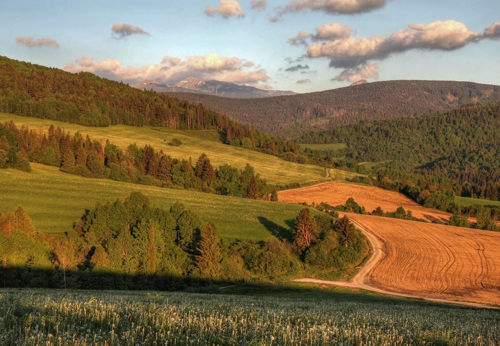 Oravské línie