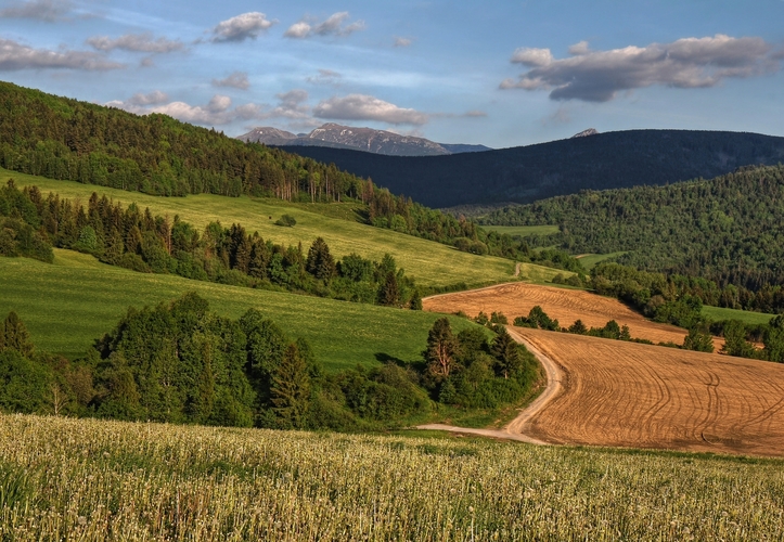 Rodná Orava 