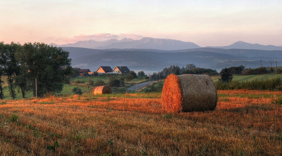 Ranná krajina