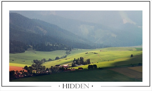 HIDDEN