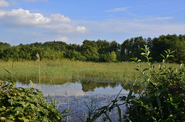 Rybník pri Malackách