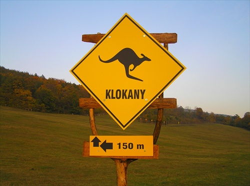 Klokany