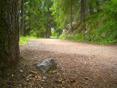 Chodníček na Štrbskom