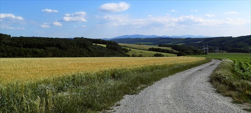 Cestou necestou, polem nepolem....