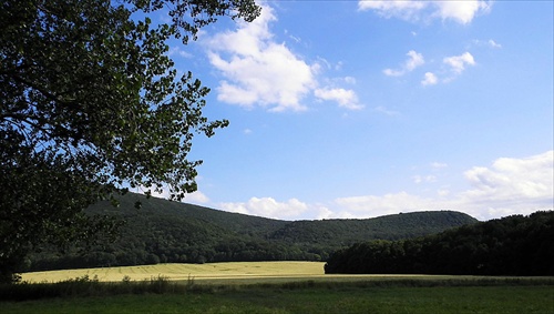 Krajina za stromom