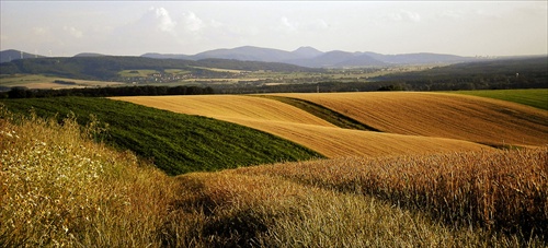 Začiatok leta