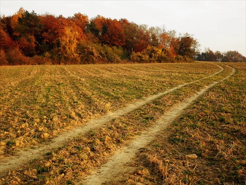 Cesta k farbám