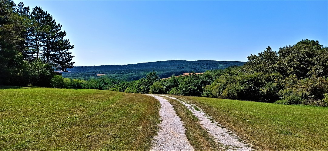 Cesta z lesa a nádherná príroda.