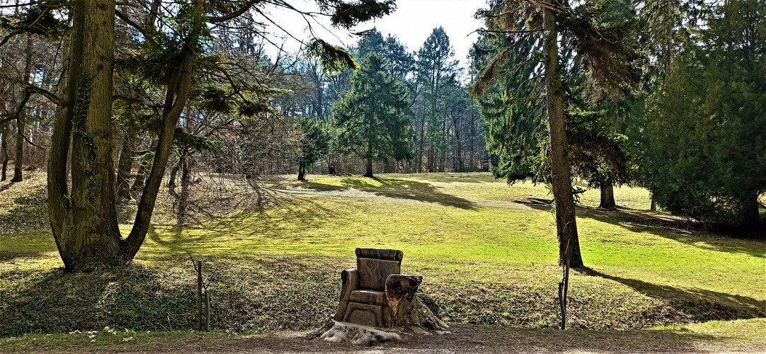 Lesná stolička.Marec 2021.