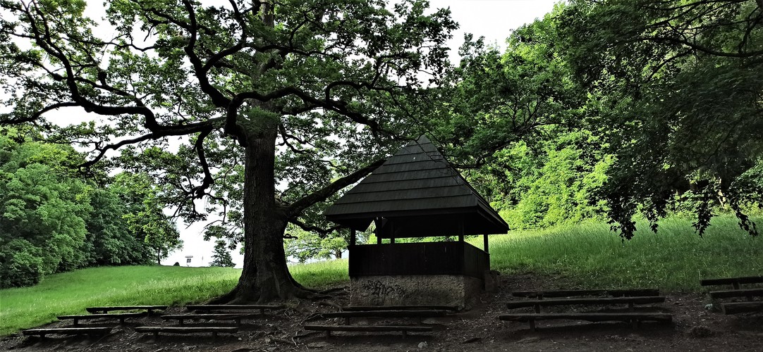 Karpaty oddych.Máj 2021.