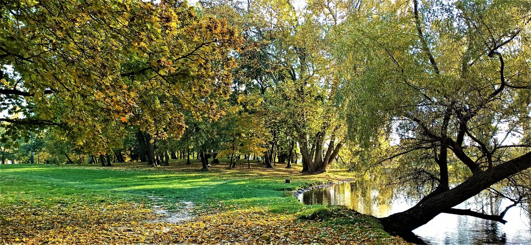 Kúzelná jeseň.Okt.2021.