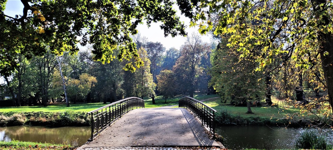 Magická jeseň.Oktober-2022.