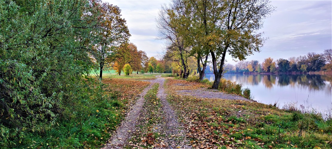 Krásy jesene.Oktober-2022.