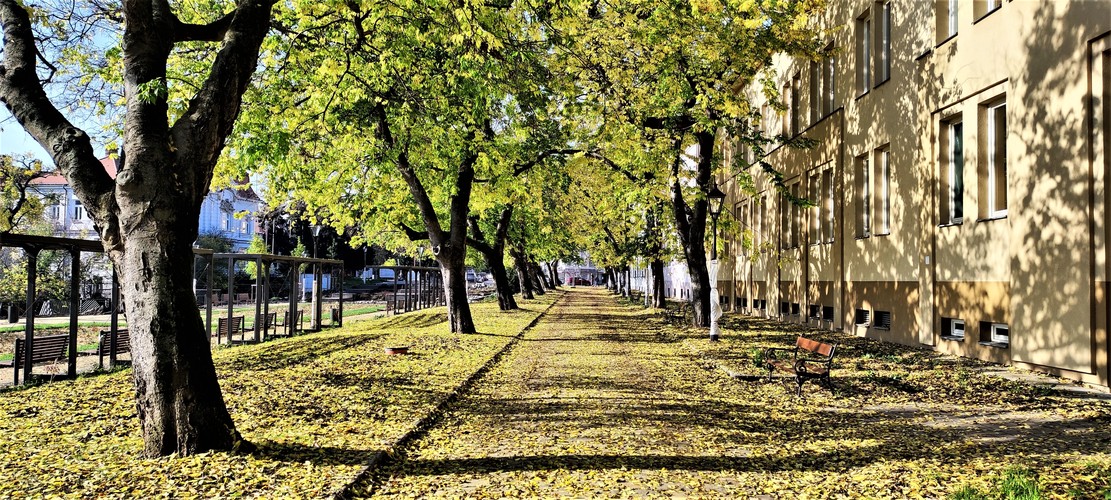 Ružový park Trnava.November-2022.