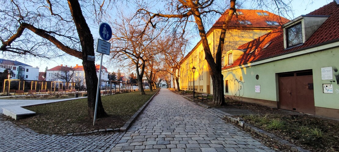 Ružový park.Trnava.Jan.2024.