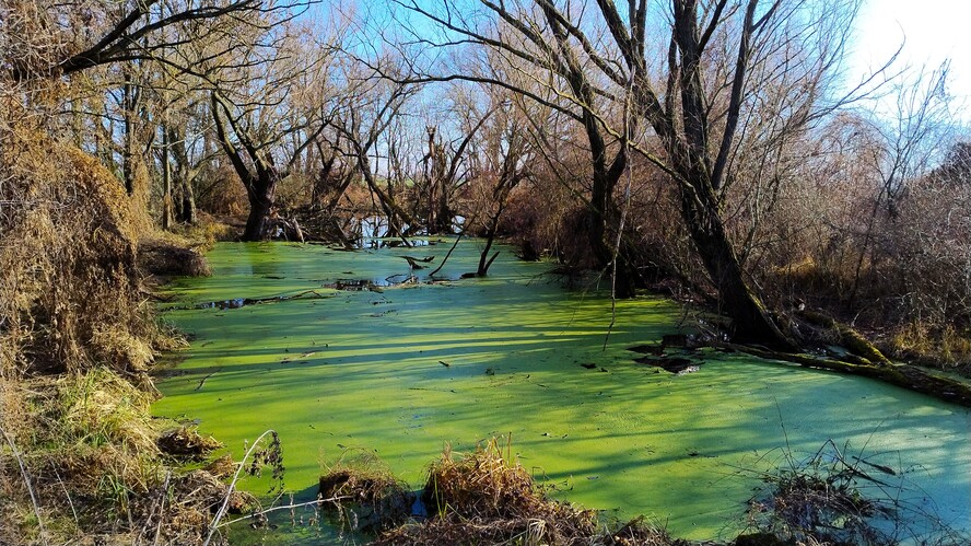 Močiar.Mar.2025.