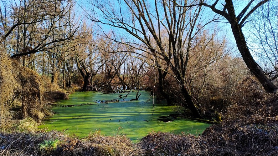 Močiar.Mar.2025.