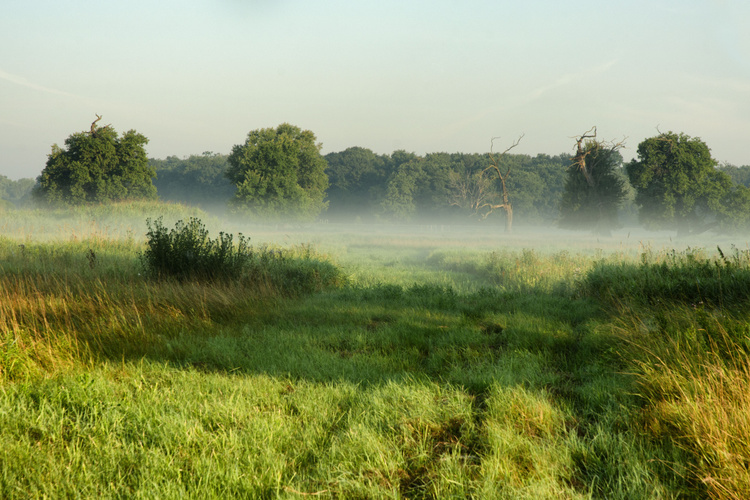 Pohanská krajina