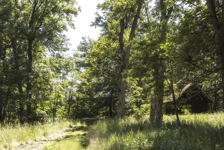 Cesta kolem domečku