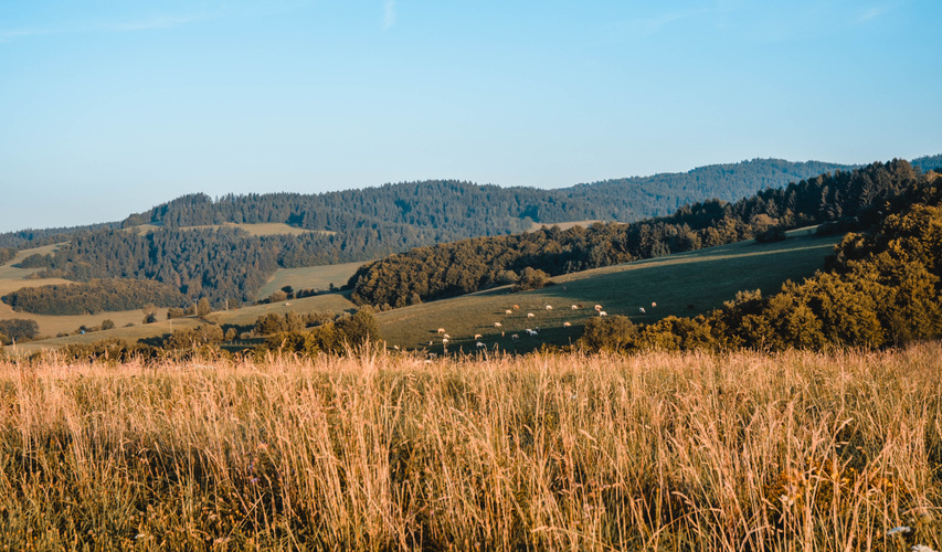 Malebná krajina