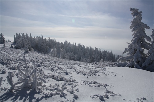 Veľká Rača II