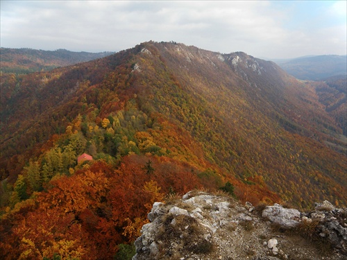 farebné Šiance