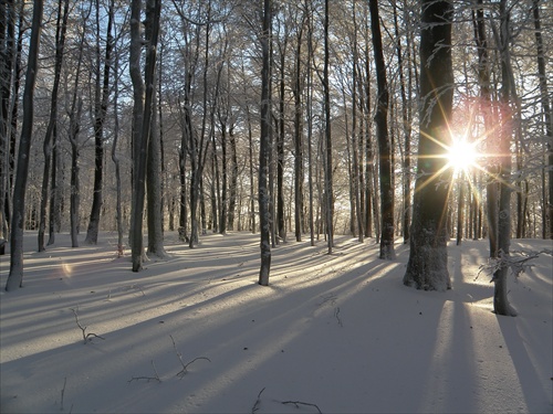 na návšteve v Snehovom kráľovstve