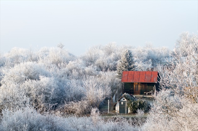 ukrytá