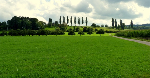 pohľady-trocha zeleného