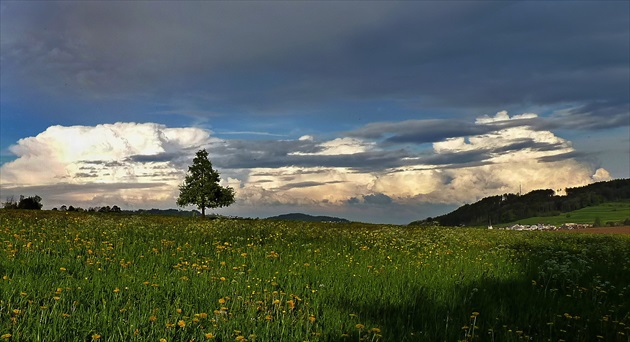 ..atmosféra jarného podvečera..