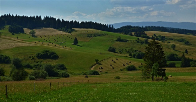 Na Orave dobre,na Orave zdravo......:)