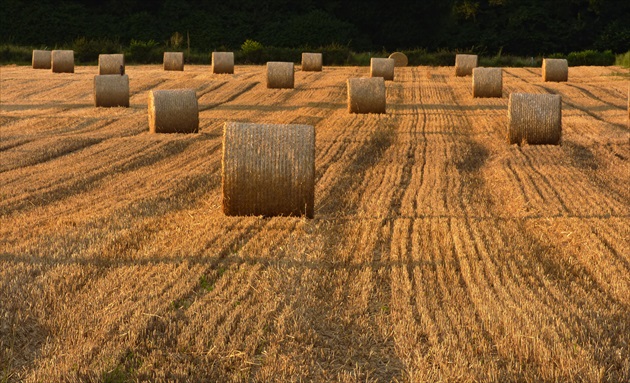 posezónny gýčik,no... neodolala som :)