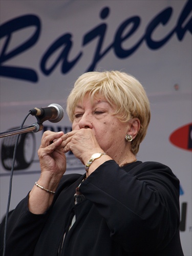 Harmonikárka II.