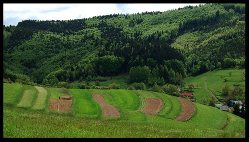 Na hriňovských lazoch ...