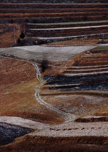 Oračiny slančovské ... / Hriňová /