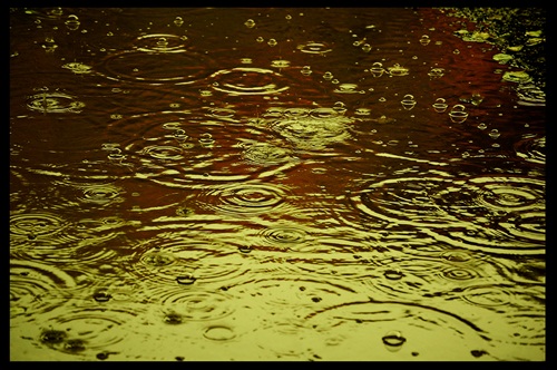 It´s rainy day ...