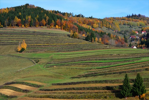 Hriňovské jesenné lazy a oračiny / Hriňová - Slanec, Uhlisko /