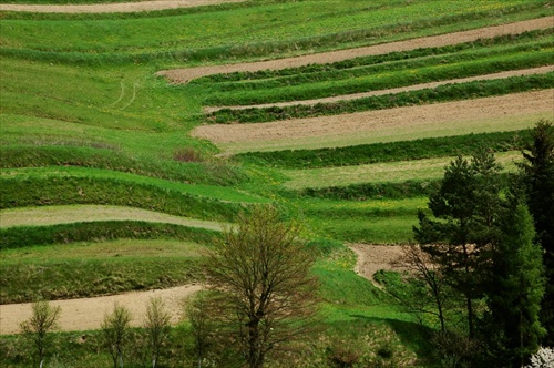 Hriňovské oračiny