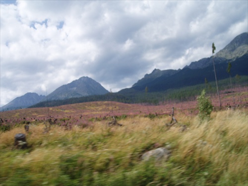 Tatry dnes