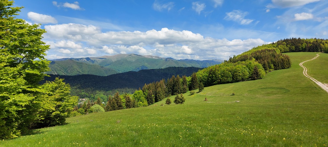 Z pod Panského dielu pohľad na Krížnu