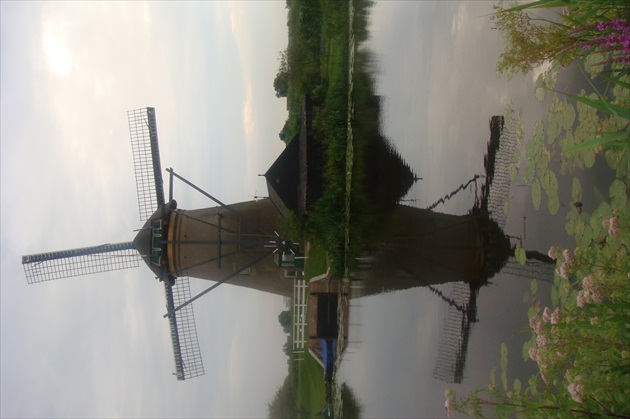 Kinderdijk