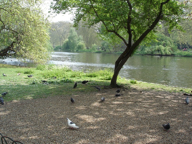 Zen garden made in London