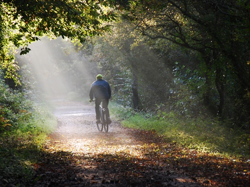 Camel Trail