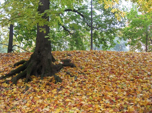 Trnavská promenáda