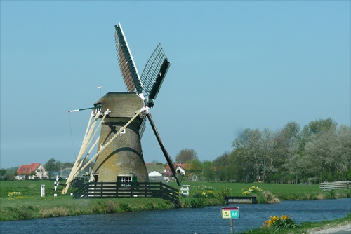 molen in het voorjaar