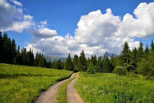 slnečnou cestičkou