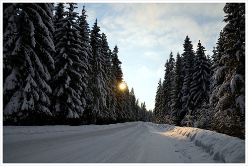 cesta na Podbanské