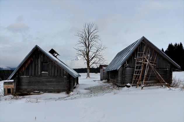 ospalý salaš